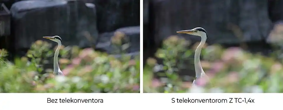 Nikon Telekonvertor Z TC-1.4x