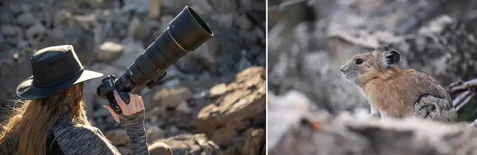 NIKKOR Z 600mm f/6.3 VR S
